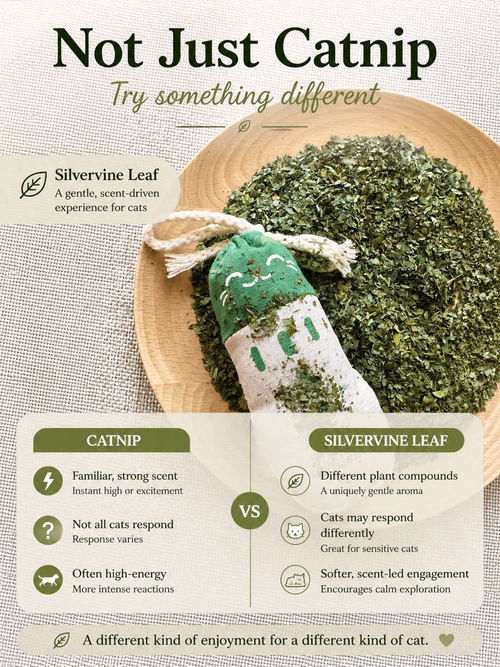 Dried Silvervine Leaves (Matatabi) for Cats