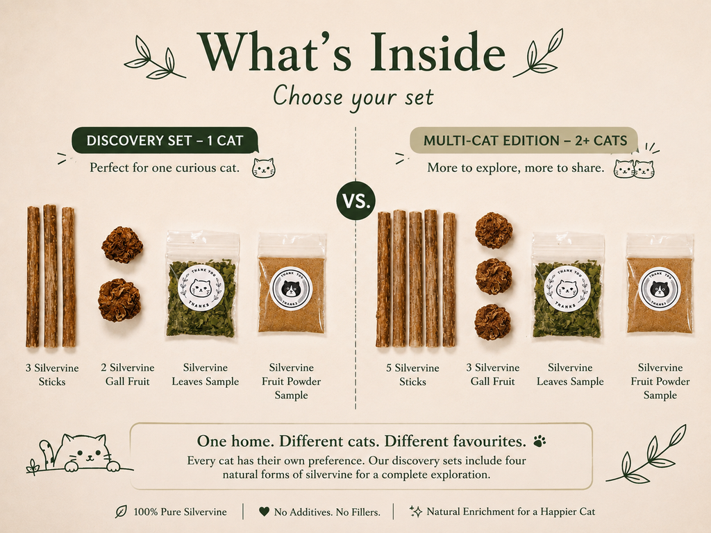 Silvervine Discovery Set for Cats | Matatabi Starter Kit