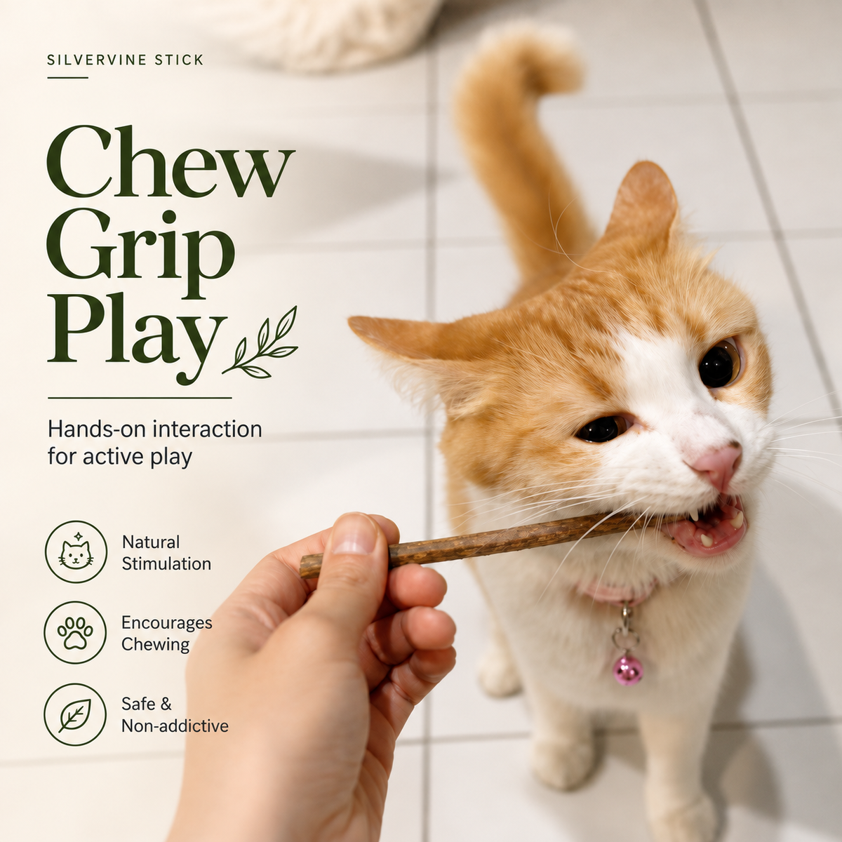Silvervine（Matatabi） Sticks for Cats