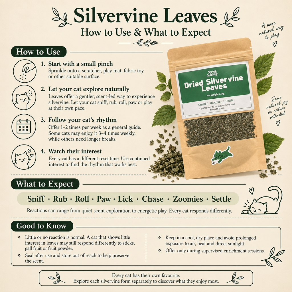 Dried Silvervine Leaves (Matatabi) for Cats