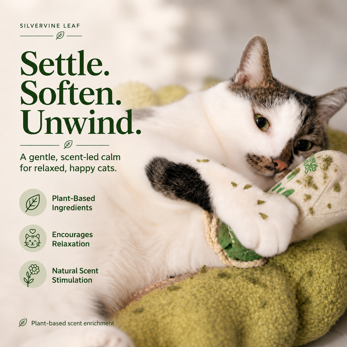 Dried Silvervine Leaves (Matatabi) for Cats