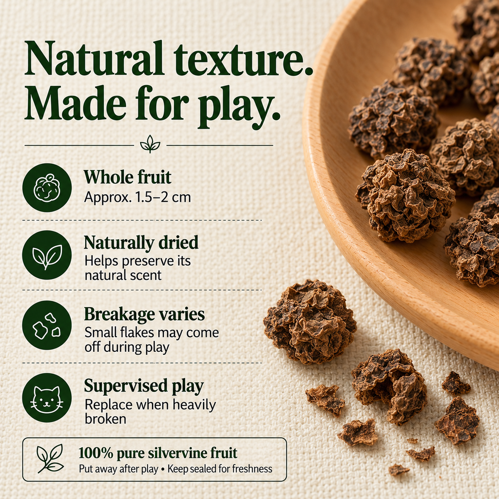 Dried Silvervine Gall Fruit (Matatabi) for Cats