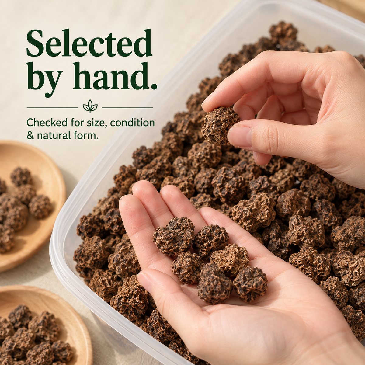 Dried Silvervine Gall Fruit (Matatabi) for Cats
