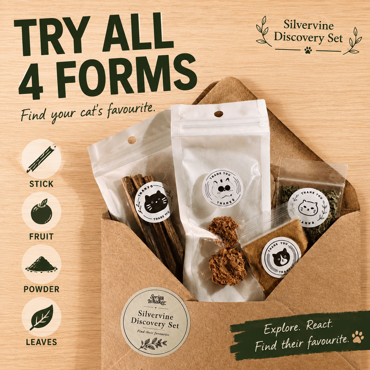 Silvervine Discovery Set for Cats | Matatabi Starter Kit