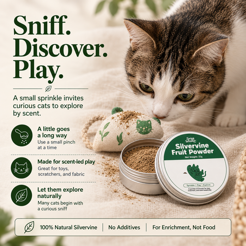 Silvervine Fruit Powder (Matatabi) for Cats